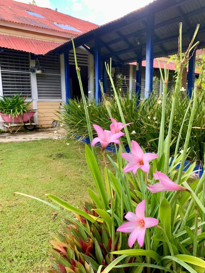 Campito Loving Bed & Breakfast Higuey ภายนอก รูปภาพ