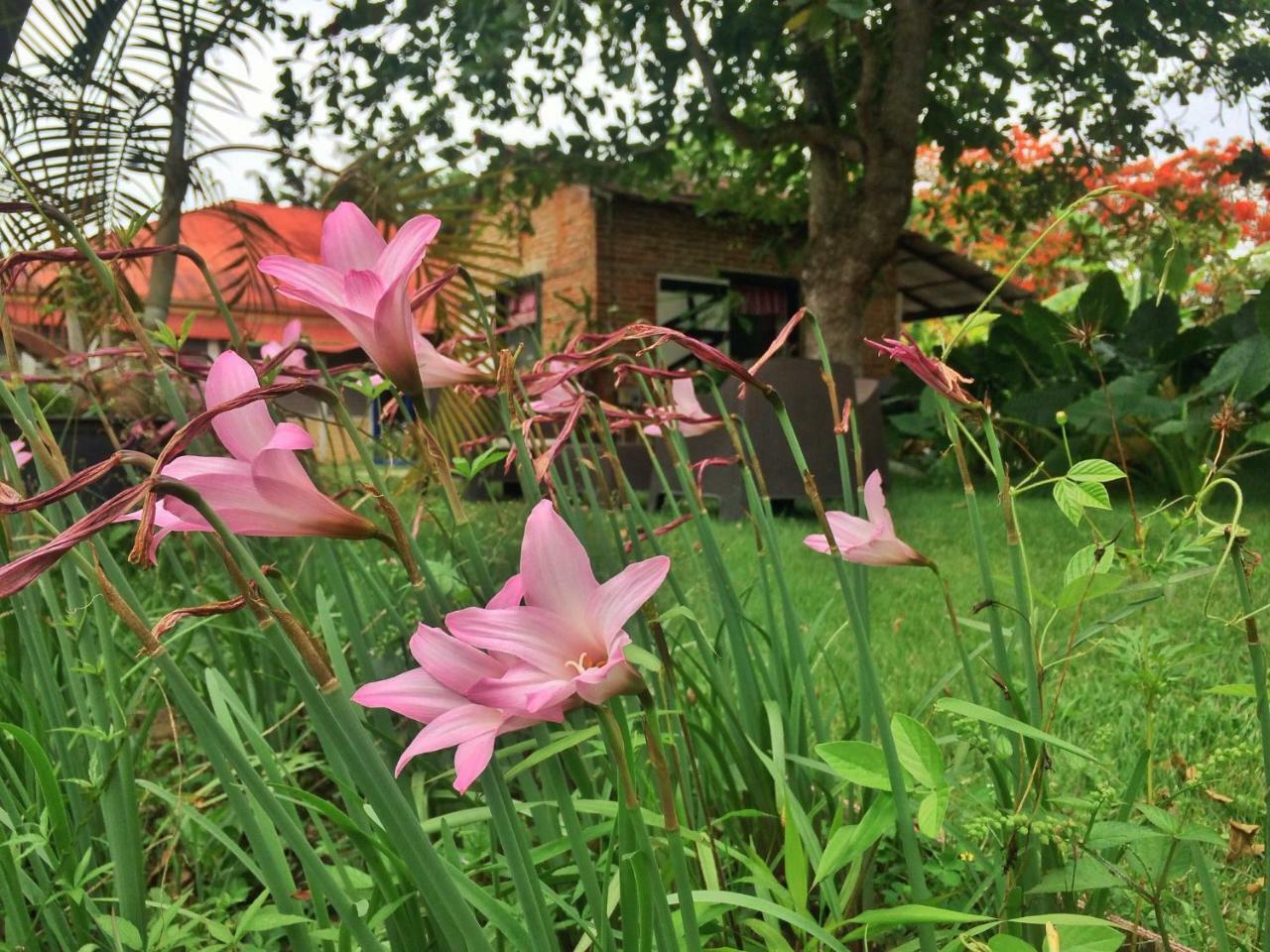 Campito Loving Bed & Breakfast Higuey ภายนอก รูปภาพ